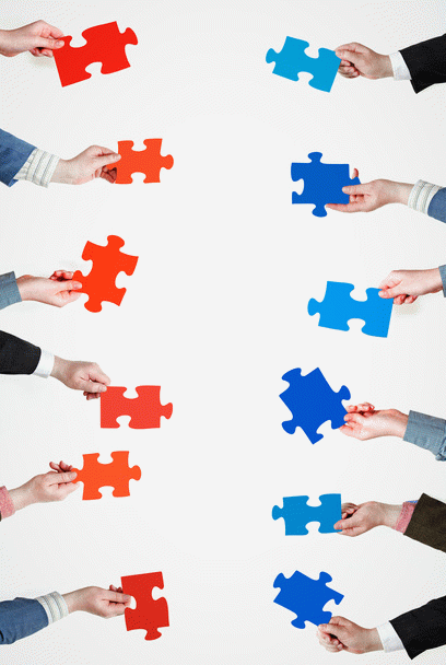 19 نکته حیاتی برای انتخاب توله سگ مناسب: انتخابی آگاهانه و دوست‌داشتنی!